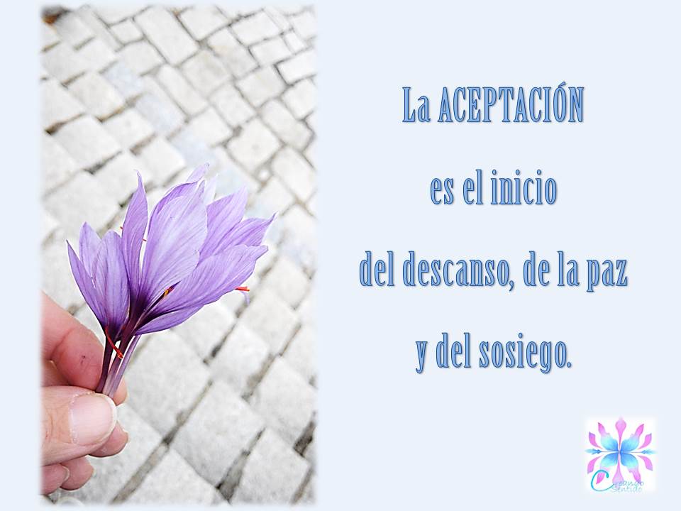 ACEPTACIÓN