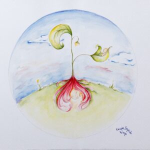 ILUSTRACIÓN SEMILLAS