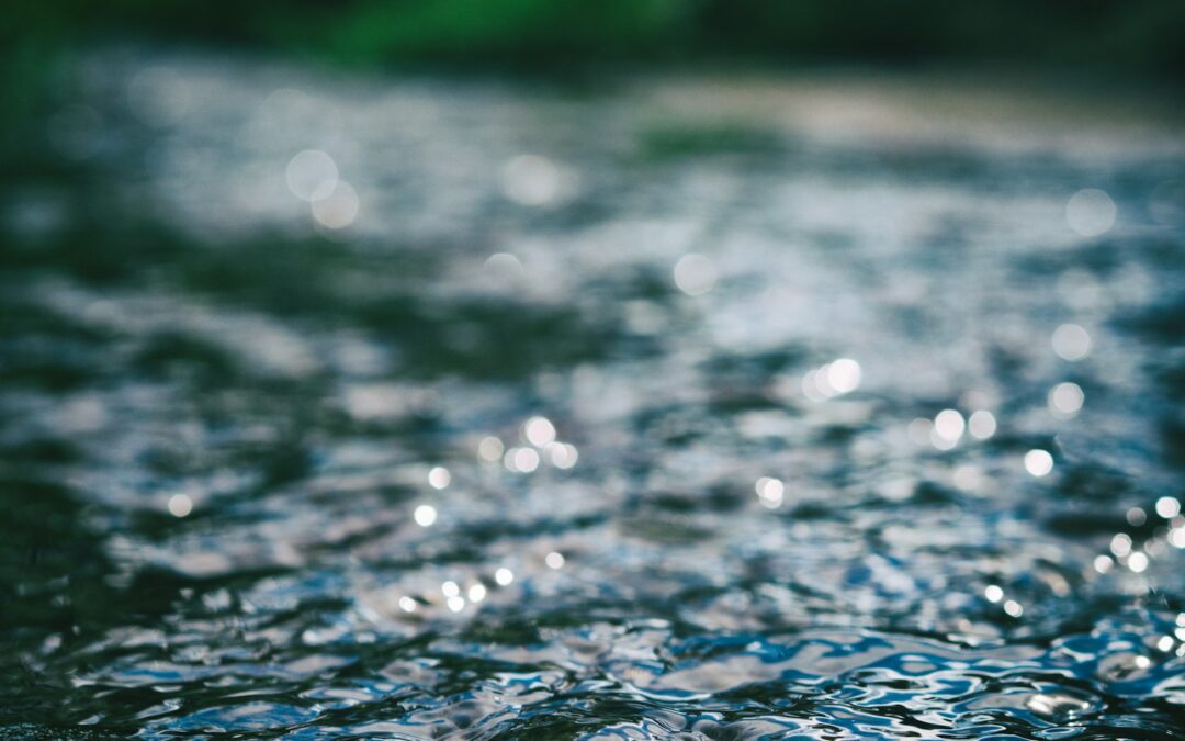 FLUIR