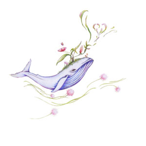 ILUSTRACIÓN Ballena en el aire